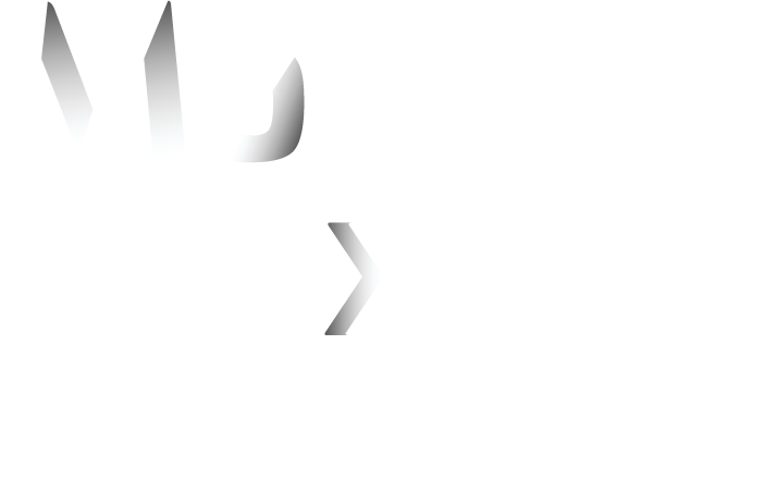 MoneyExpo Logo