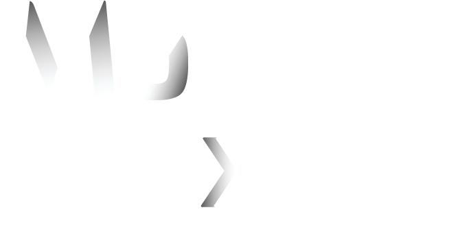 MoneyExpo Logo
